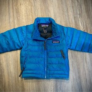 Patagonia Kids Vibrant Blue Puffer Coat